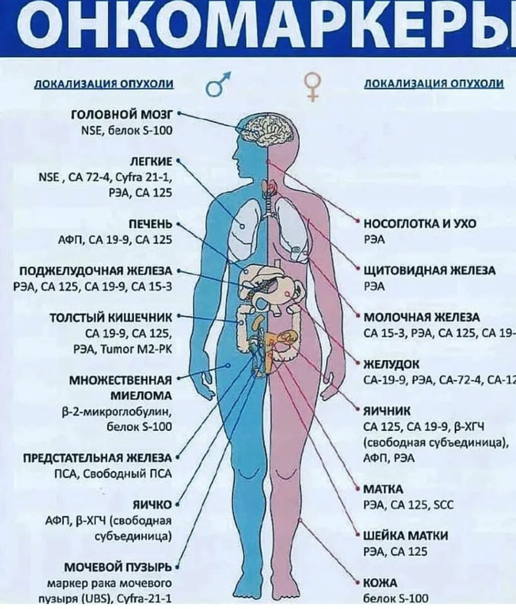 Са 72 4 у мужчин. Онкомаркеры. Онкомаркеры органов. Аруко маркер. Анализ на онкомаркеры.