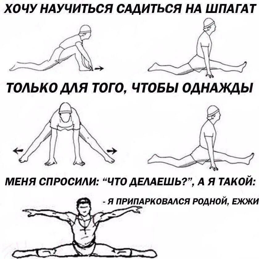 Как ты думаешь как сесть. Упражнения для продольного шпагата для начинающих. как быстро сесть на шпагат упражнения. поперечный шпагат схема. упражнения для поперечного шпагата для начинающих.