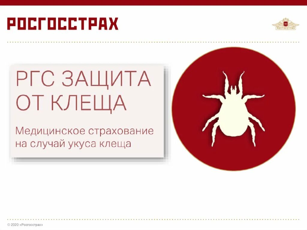 Оформить страховку от клеща. Росгосстрах от клеща. росгосстрах защита от клеща. страховка от клеща росгосстрах. ргс защита от клеща росгосстрах.