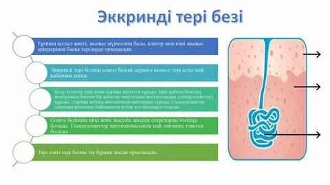 Секс қыздан