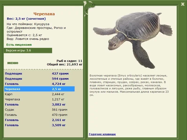 Черепаха меню