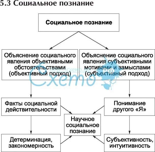 Особенности объекта социального познания. Особенности социального познания таблица. Особенности социального познания схема. Методы научного познания в социальном познании. Особенности научного и социального познания и примеры.