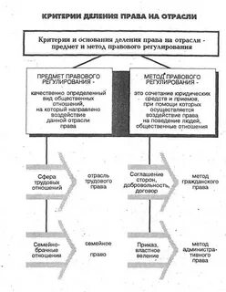 Понятие и критерии отрасли