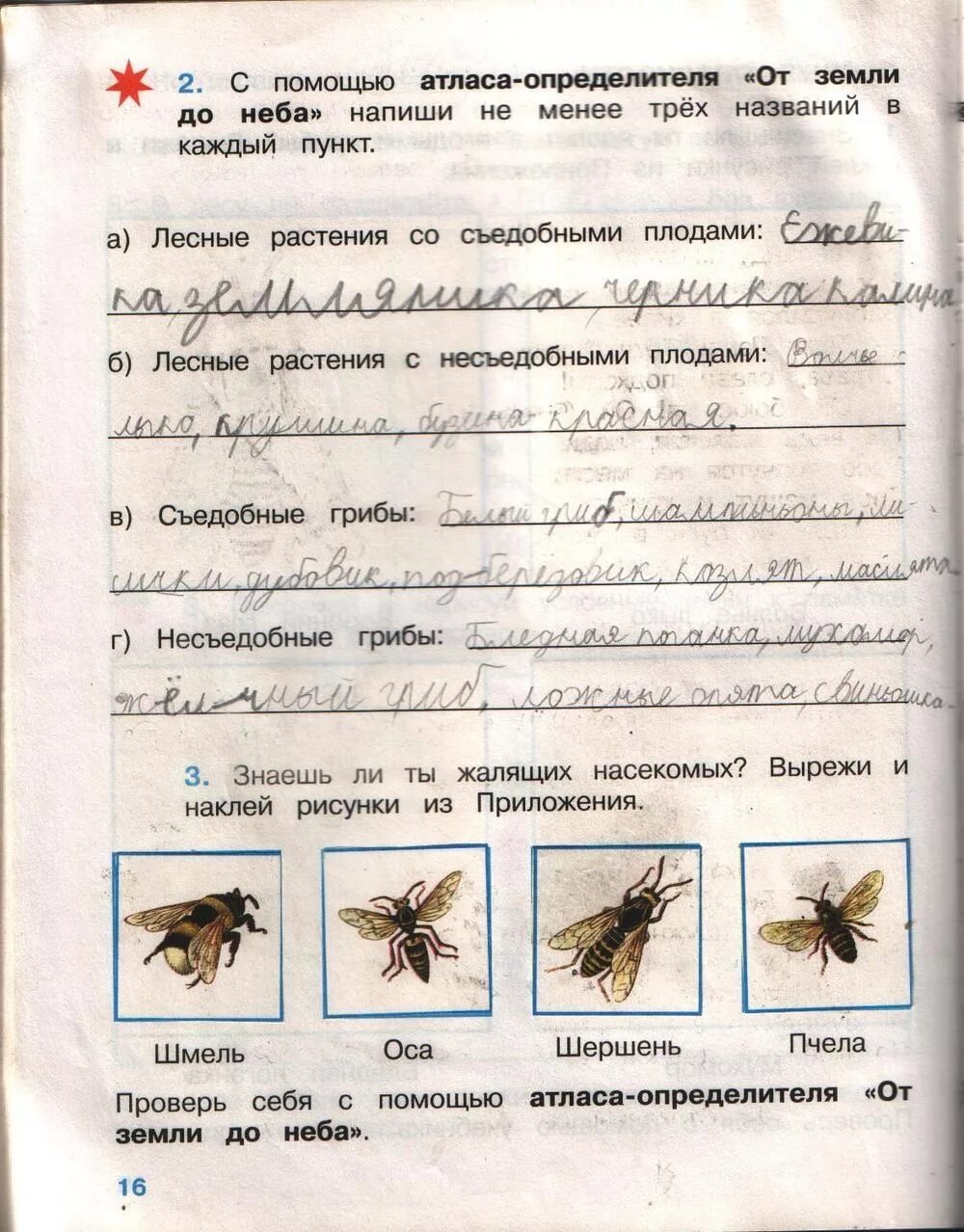 Пчелы окружающий мир 2 класс рабочая тетрадь. Рабочая тетрадь по окружающий мир 1 класс плешаков насекомые. окружающий мир 2 класс рабочая тетрадь плешаков насекомые. окружающий мир 2 класс рабочая тетрадь плешаков лесные опасности. окружающий мир 2 класс рабочая тетрадь 2 часть насекомые.