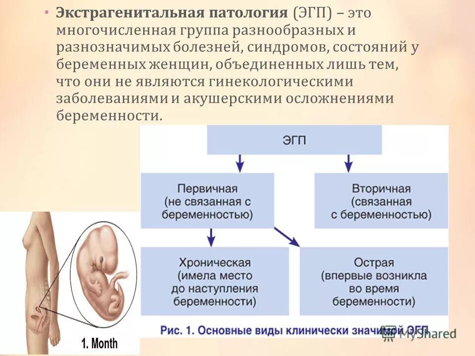 Заболевание при беременности. Экстрагенитальная патология. Экстрагненитальная патолог. Экстрогенитальная потологи. Экстрагенитальная патология беременных.