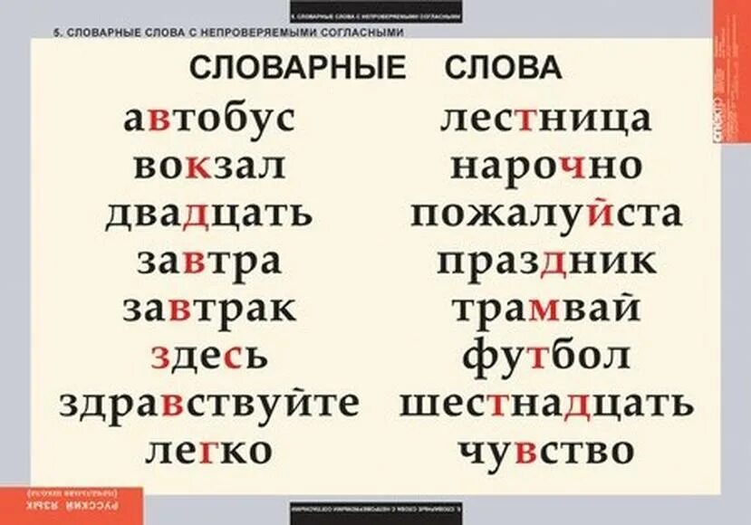 Непроверяемые согласные в корне слова 5. Непроверяемые словарные слова. Слова. Слово с не проверяймоми согласными. Слова с непроверяемыми согласными.