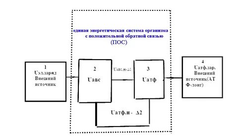 Схема положительной обратной связи