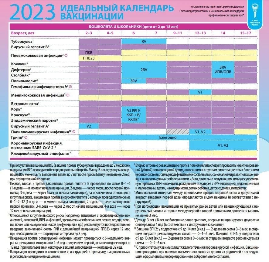 Календарь прививок до года 2024. Национальный календарь прививок РФ 2023. Календарь вакцинации детей в России 2023. Идеальный график вакцинации 2023. Календарь прививок 2023г.