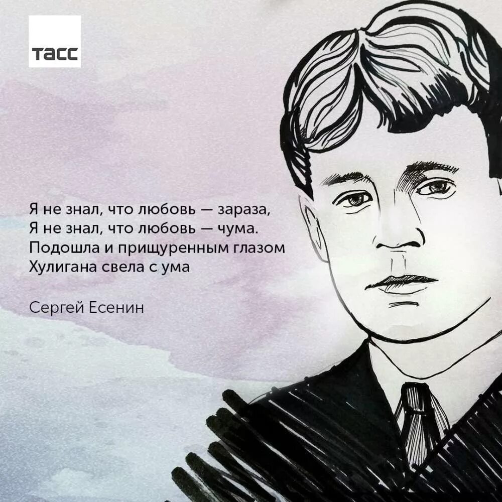 Есенин о любви. Сергесенин стихи о любви. Есенин стихи о любви. Строки есенина о любви