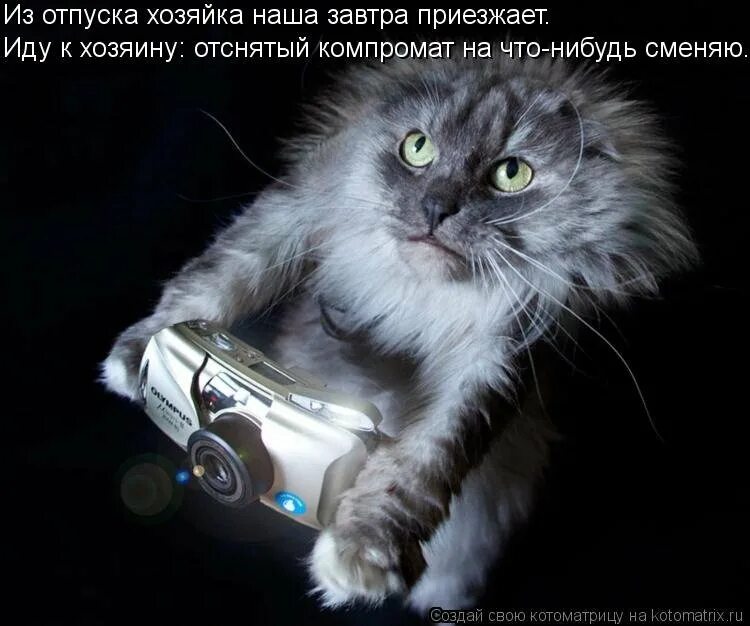 По возвращении из отпуска. На работу после отпуска. поздравление с выходом на работу после отпуска. открытки с выходом на работу прикольные. открытки с выходом на работу после отпуска прикольные.