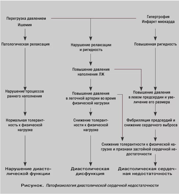 Диастолическая дисфункция лж 1 типа что это. Типы нарушения диастолической функции лж. алгоритм оценки диастолической дисфункции. диастолическая дисфункция левого желудочка 2 степени. диастолическая дисфункция левого желудочка по 1.