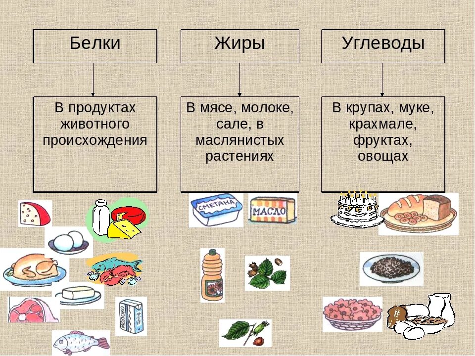 Для чего нужен белок и углеводы. Где содержатся белки жиры и углеводы. Белки жиры углеводы примеры продуктов. В каких продуктах белки жиры углеводы таблица. Продукты содержащие белки жиры и углеводы.