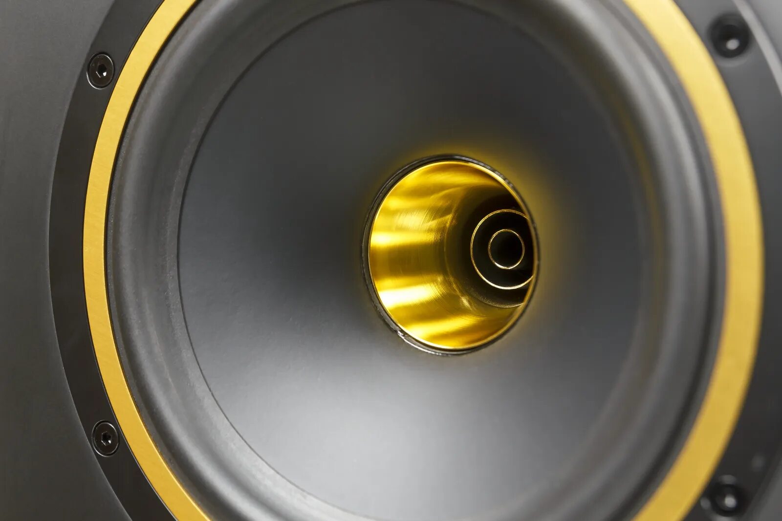 Tannoy Gold 8. Tannoy Gold 7. Студийный монитор Tannoy Gold 7. Tannoy Studio Monitor.