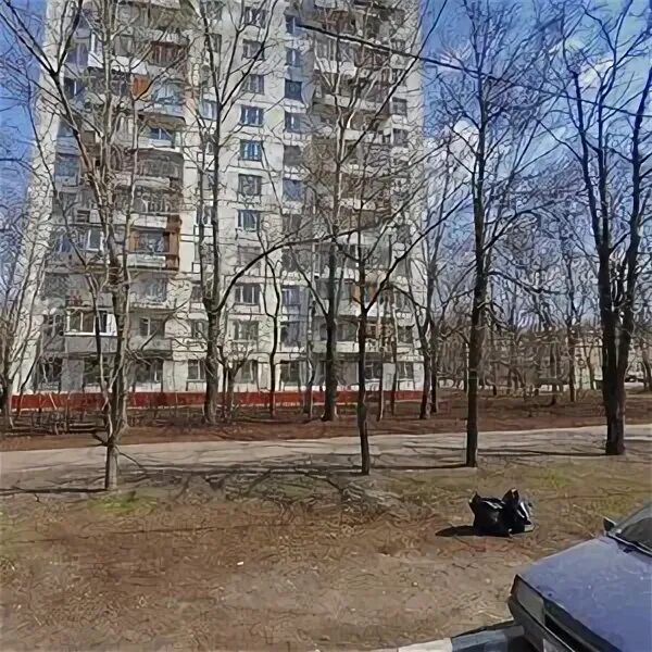 Парковая 11 я москва. 11 парковая 50. 11 парковая 24. 9 парковая 50к1. 11 парковая 50.