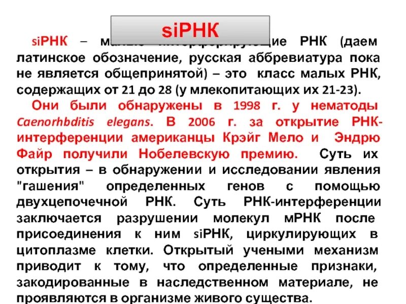 Рнк блокирует. Как расшифровывается РНК. РНК аббревиатура. Малые интерферирующие РНК. Образование р РНК.