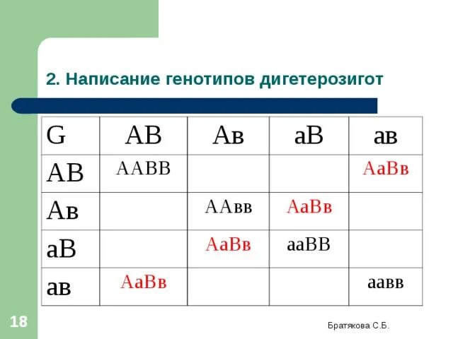 Генотип дигетерозиготного организма. Аавв генотип. аавв аавв. аавв и аавв генотип. аавв аавв аавв аавв.