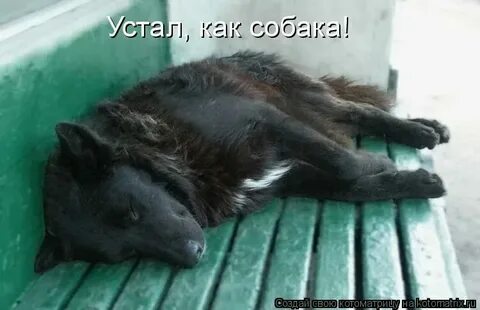 Не зная усталости как пишется