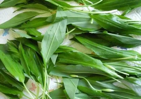 Черемша вкус