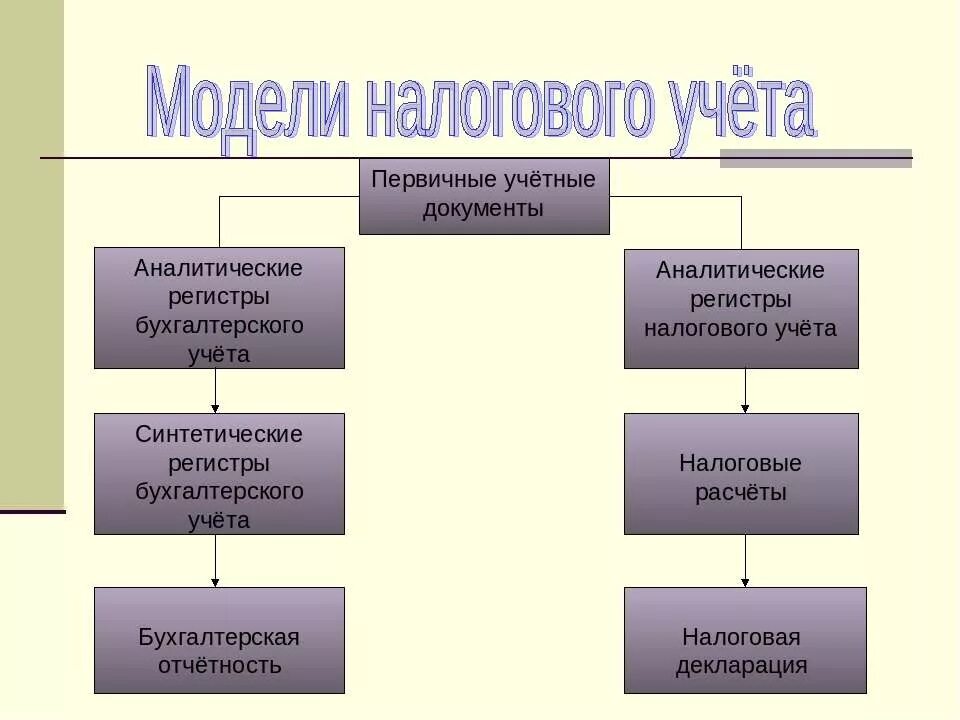 Налогообложение организации предприятия. Модели налогового учета. Модел. Налогового учкт а. Модели ведения налогового учета. Организация бухгалтерского и налогового учета.