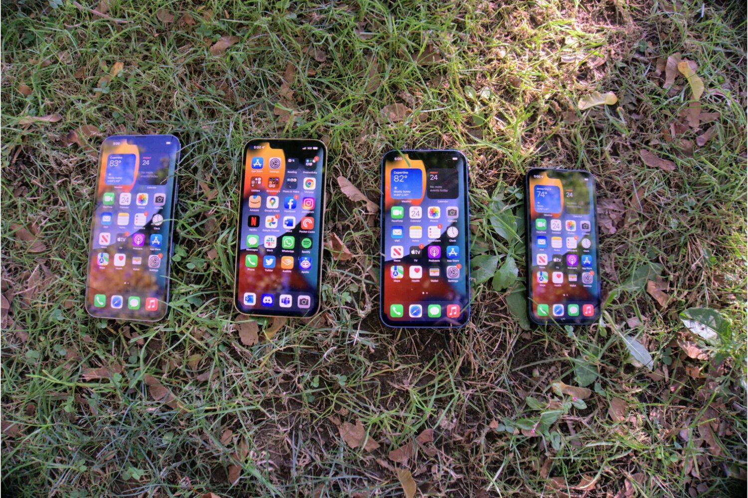 Разница 13 и 13 мини. Iphone 13 Mini. Iphone 13 Pro Max Mini. Iphone 13 13 Mini 13 Pro 13 Pro Max. Iphone 13 Mini vs iphone 13 Pro Max.