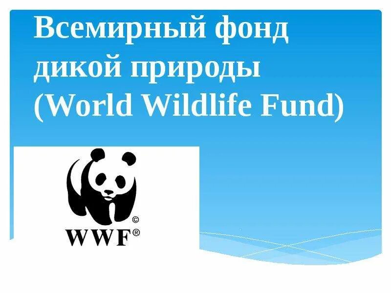 Всемирный фонд дикой природы. Всемирный фонд дикой природы проекты. Всемирный фонд дикой природы доклад. Всемирный фонд дикой природы презентация.