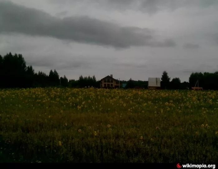 Погода в андрейково рузский. Погода в андрейково рузский. Погода в андрейково рузский. Деревня андрейково. Андрейково д1.