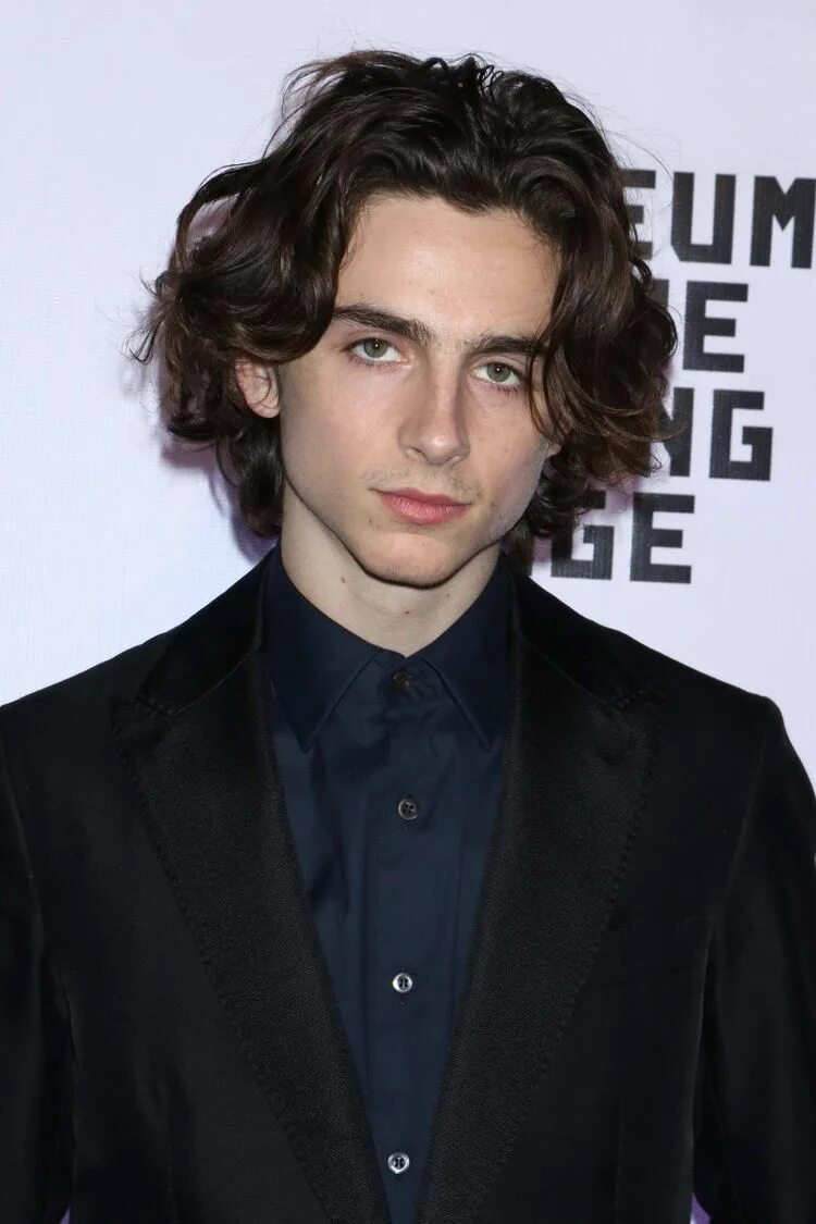 Волосы шторы мужские. Куртейн Хаиркат. Timothee Chalamet Hairstyle. Curtains прическа мужская. Длинные мужские стрижки.