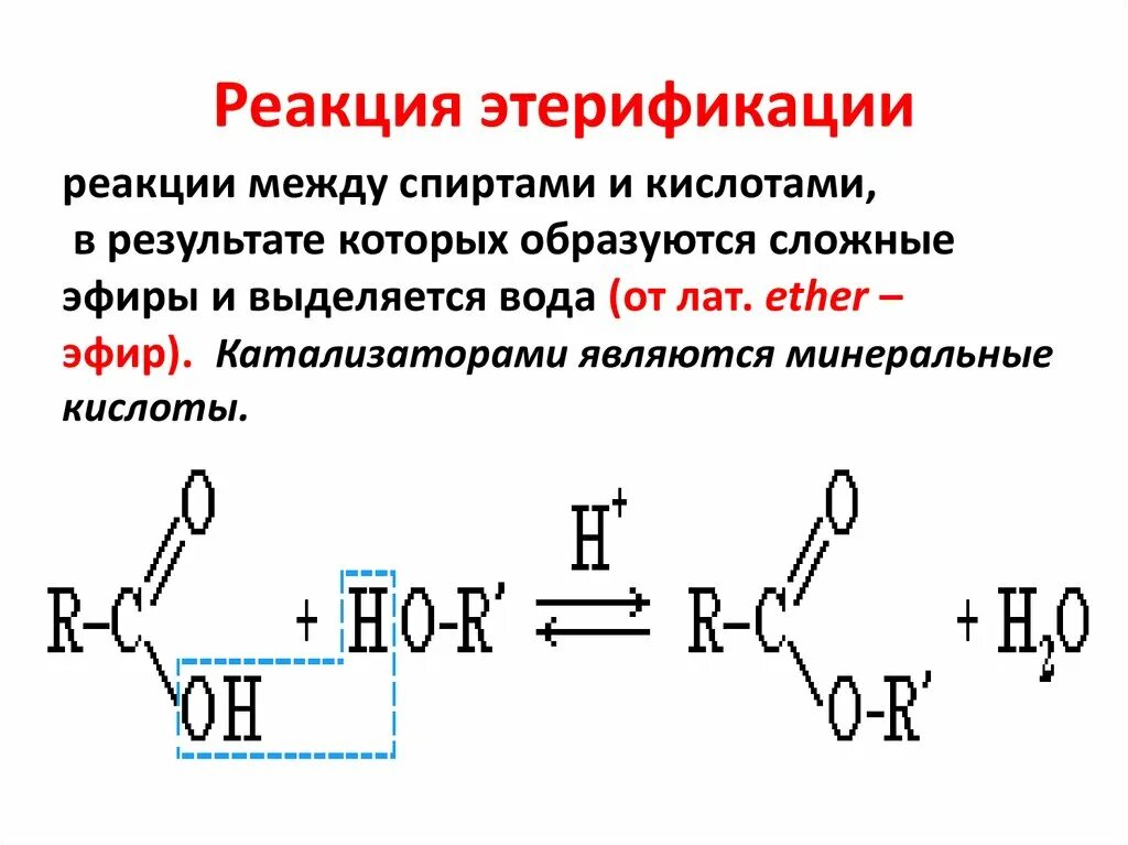 Скорость реакции этерификации. Реакция этерификации образование сложных эфиров. Этерификация с аренами. Реакция этерификации жиров. Реакция этерификации спиртов.