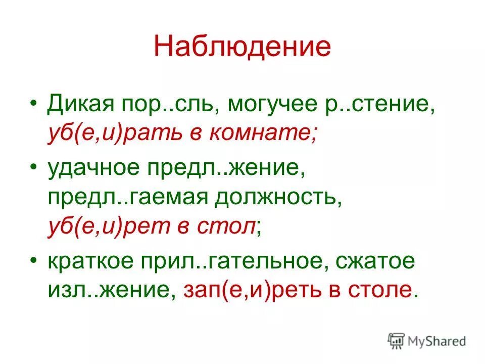 1 к мфорт р стение прил гательное. 1 к мфорт р стение прил гательное