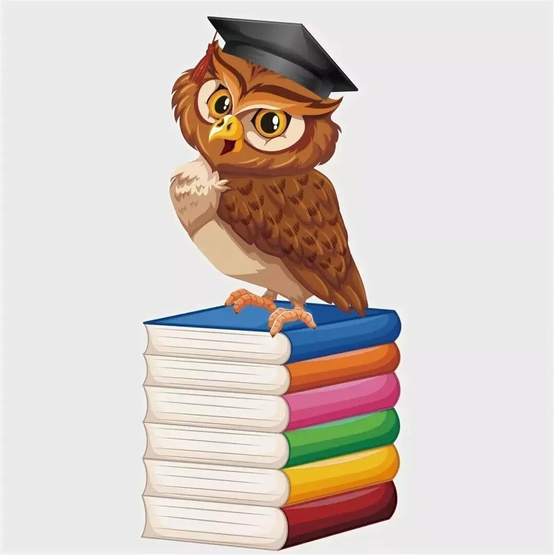 Сова с книгой картинки. Сова с книгой. мудрая сова. ученая сова. сова с книжкой.