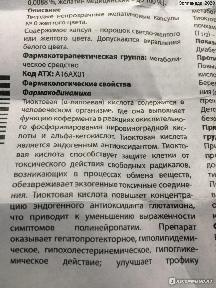 Тиоктовая кислота 600 инструкция таблетки отзывы. Тиоктовая кислота 600 Октолипен. Тиоктовая кислота 600 капсулы. Тиоктовая кислота показания. Тиоктовая кислота инструкция.