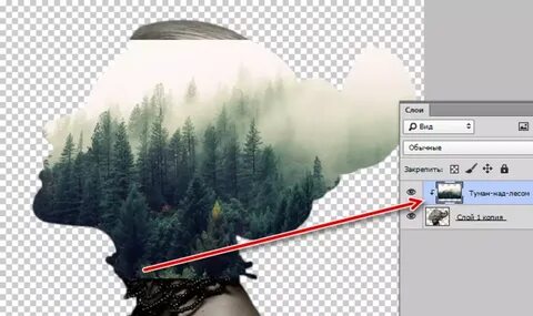Фотошоп контур объекта