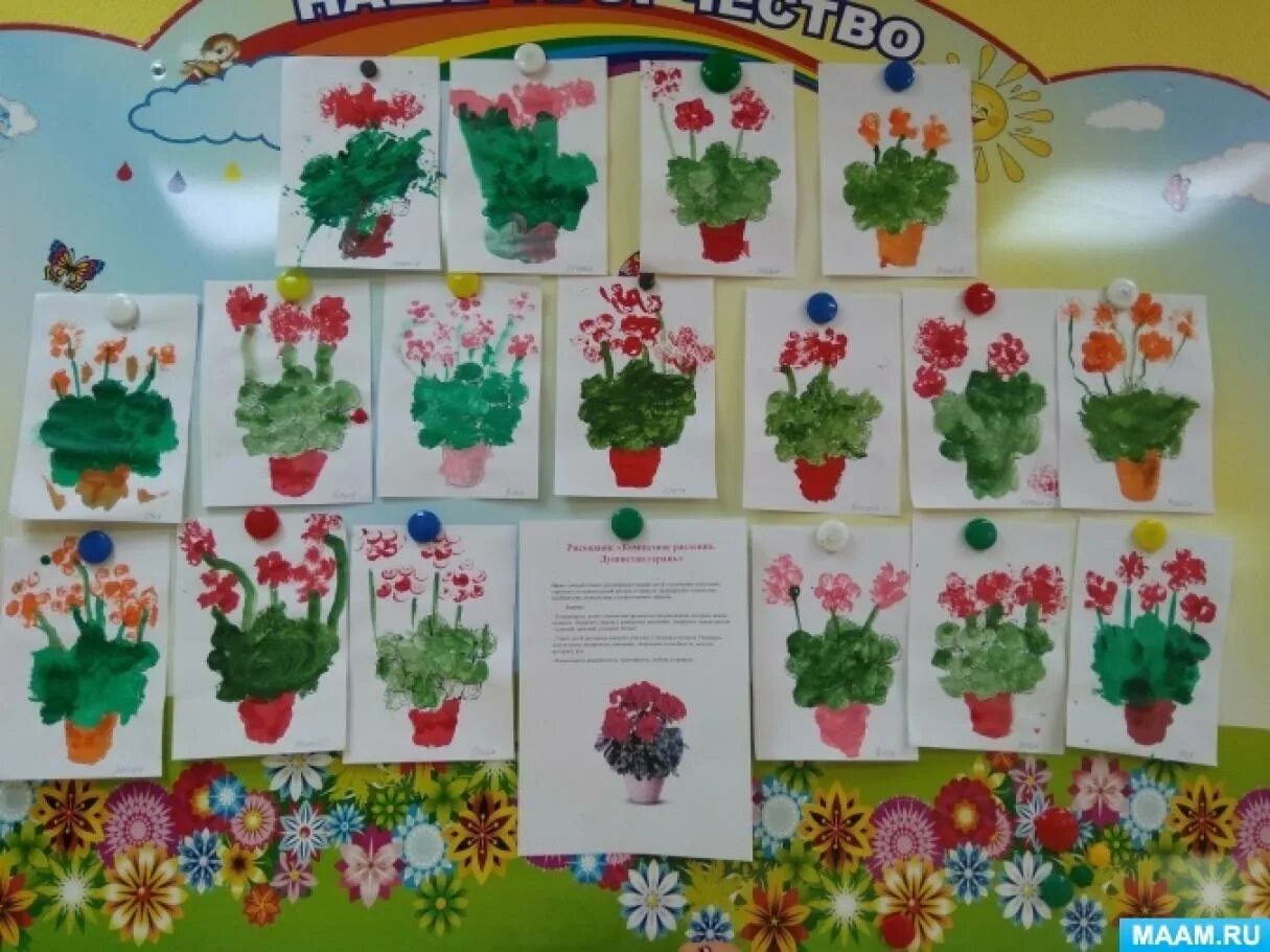 Комнатные растения тема в детском саду. Растения для средней группы детского сада. Цветы для средней группы детского сада. Растения в подготовительной группе.