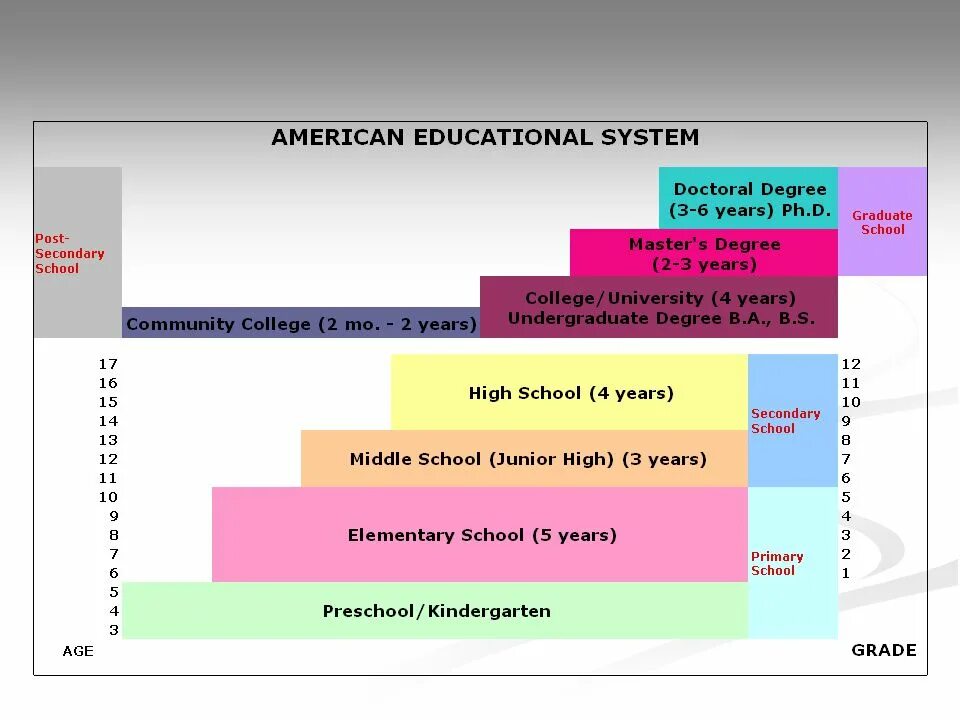 School System in the USA таблица. Система школьного образования в США. Система образования в США таблица. Образование в США схема.