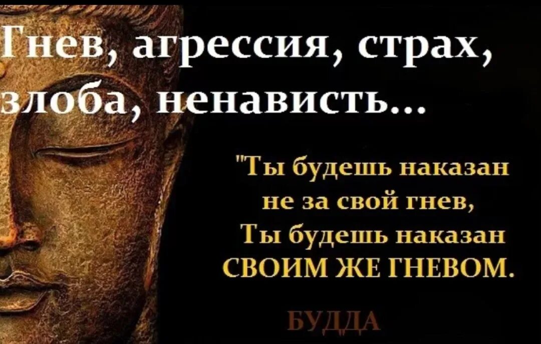 Ненависть можно