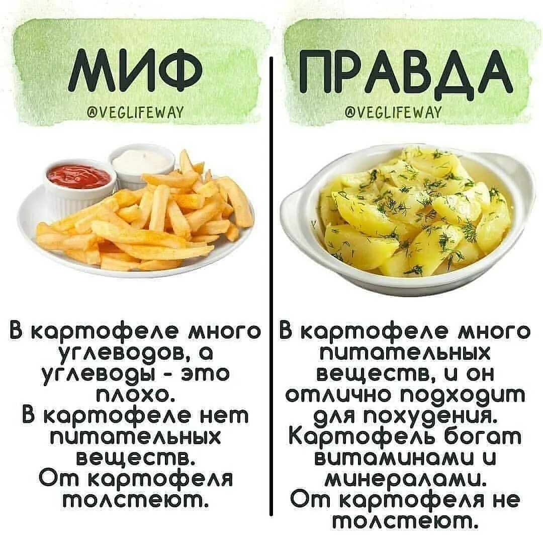 При похудении можно есть картошку. Миф правда. факты и мифы о еде. мифы о похудении. мифы о питании.