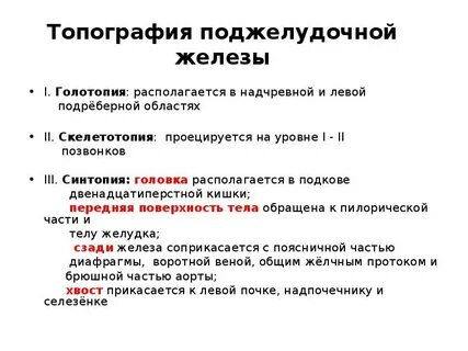 Топография поджелудочной