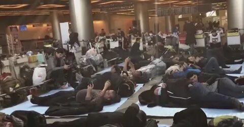 В аэропорту домодедово силовики ведут мигрантов