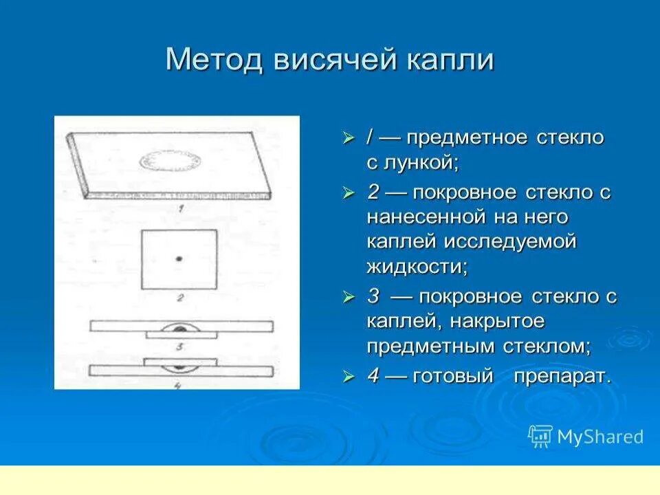 Метод висячей капли микробиология. Препарат висячая капля микробиология. техника приготовления препарата висячая капля. приготовление препарата методом висячей капли.