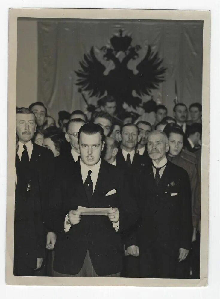 Владимир кириллович романов обергруппенфюрер сс. Тюрьма 1918. Князь 1930. К р великий князь константин константинович романов. Дмитрий павлович и николай 2.