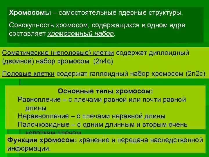 Совокупность хромосом соматической клетки. Хромосома это самостоятельная ядерная. Совокупность хромосом ядра одной клетки. Совокупность хромосом называется