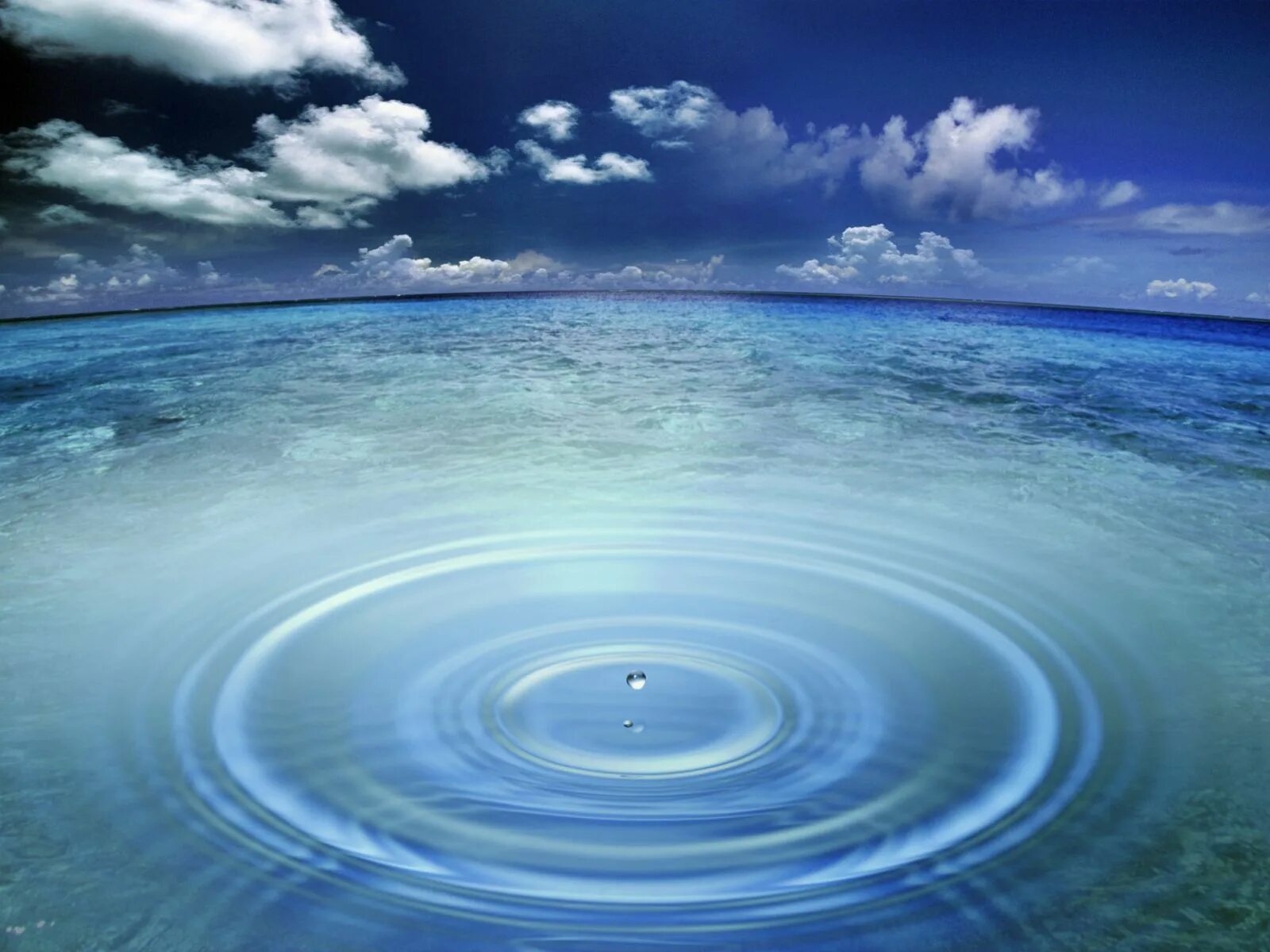 Drop in the ocean