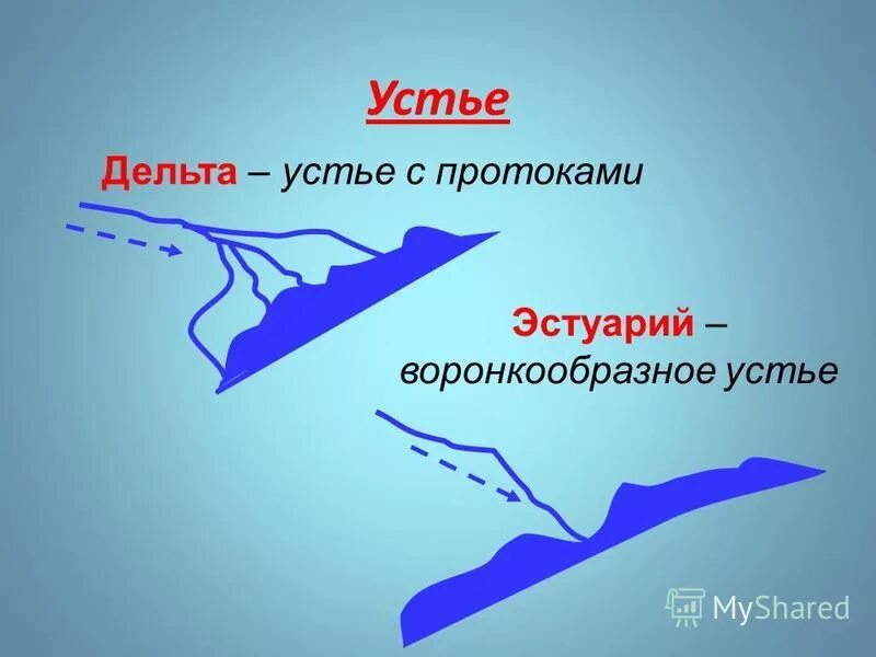 География устье реки