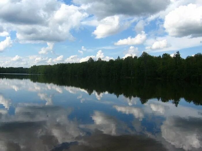 Озеро долгое площадь. Долгое озеро Лобня. Озеро долгое Озерецкое. Озеро долгое Дмитровский район. Озеро долгое Кашира.