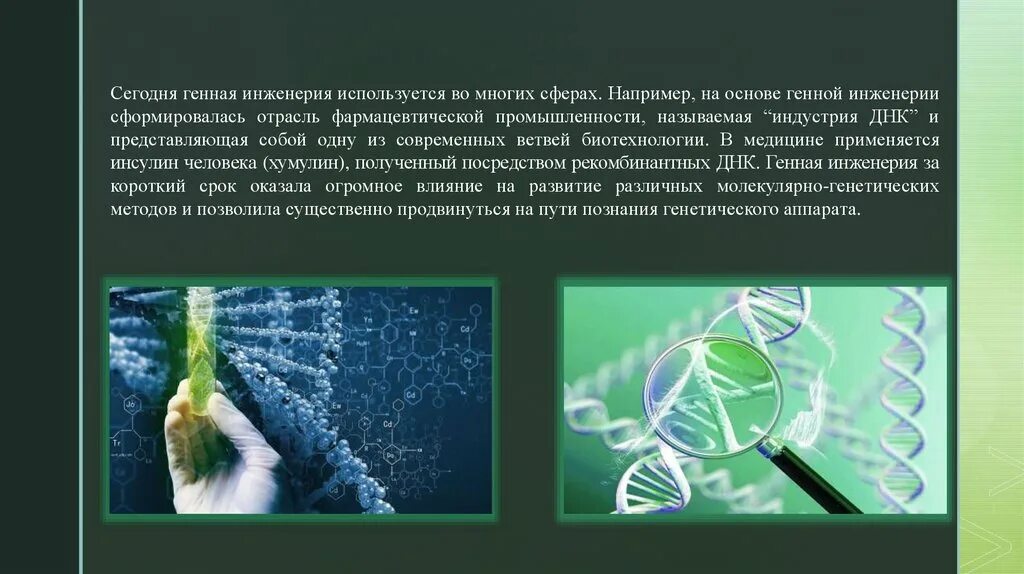 Генная инженерия используется для. Генная инженерия. презентация на тему генная инженерия. презентация по генной инженерии. сформировалась генная инженерия.