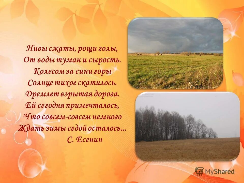 Стихотворение Есенин Нивы сжаты Рощи. Нивы сжаты Рощи голы. Стихи про осеннее поле.