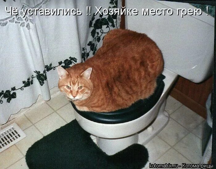 Буржуйка в автомобиле. Крыса за офисным столом. Согревание рук. Огонь для согревания. Место грела.