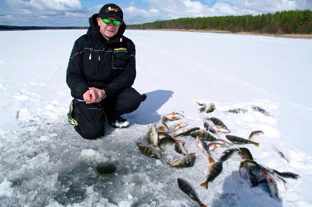 Рыбинск форум рыбаков. Весьегонск Рыбинское водохранилище. Рыбинское водохранилище зимняя рыбалка. Рыбинское водохранилище рыбалка зимой. Зимняя рыбалка в Весьегонске.