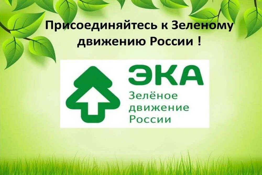 Межрегиональная экологическая общественная организация «эка». Зеленое движение эка. Межрегиональная экологическая общественная организация «эка». Эка экологическая организация. Экологическая общественная организация эка.