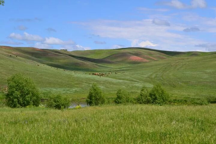 Сайт родное оренбург. Гора алабайтал оренбургская область. оренбуржье край родной.
